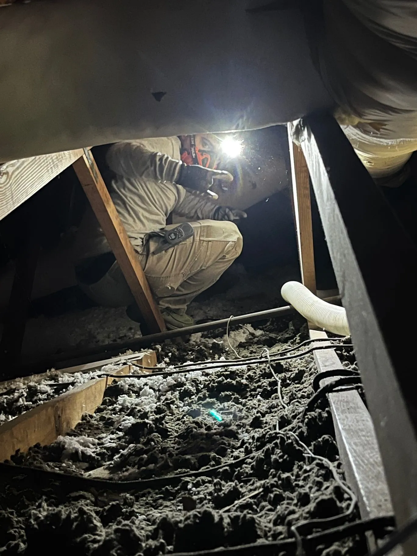 D&M Insulation technician inspecting an attic to evaluate insulation levels and air leaks